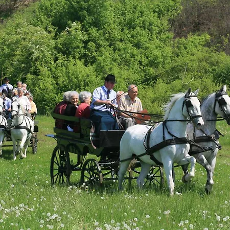 Lipicai és étterem 3* Szilvásvárad