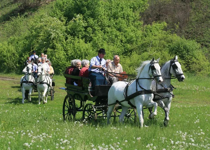 Lipicai Es Etterem 3* Szilvasvarad